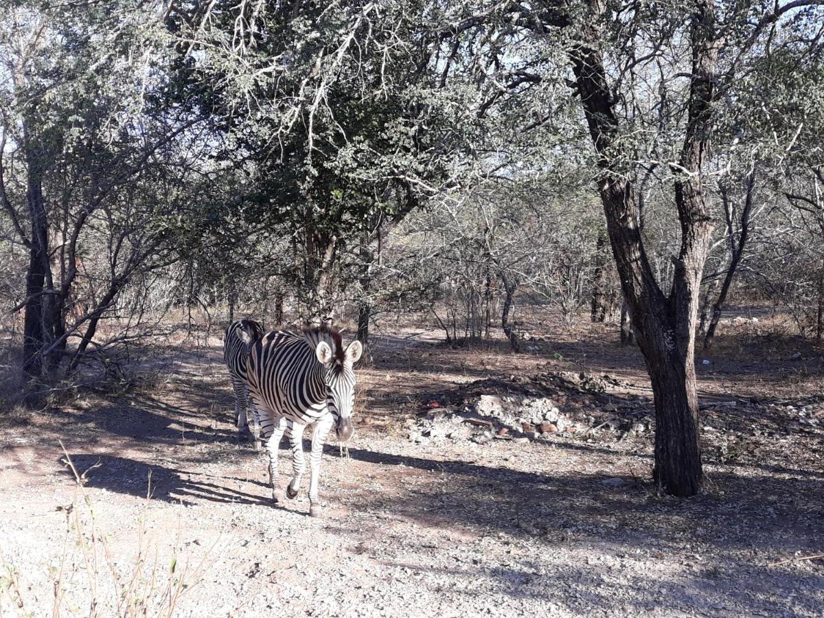 Wild Escape Villa Marloth Park Exterior photo