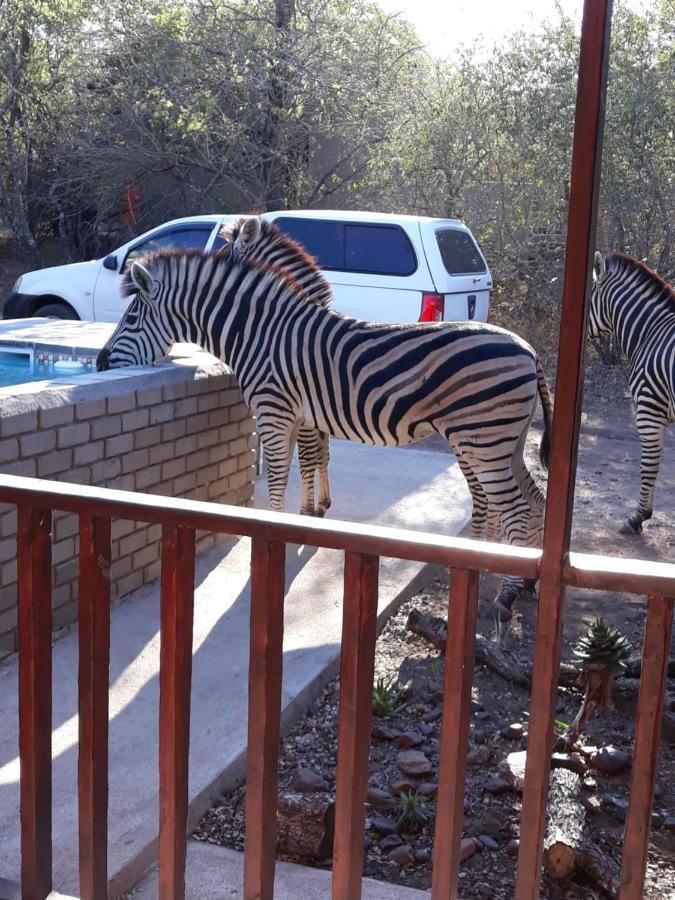 Wild Escape Villa Marloth Park Exterior photo